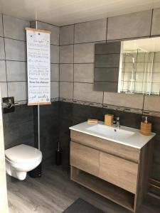 een badkamer met een wastafel, een toilet en een spiegel bij Gîte de l'Est 1 in Colmar