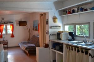 una cocina con fregadero y un sofá en una habitación en LA BERGERIE, en Cauro