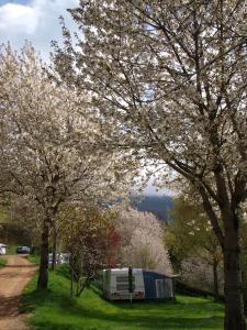 przyczepa zaparkowana na polu z drzewami z kwiatami w obiekcie Camping Can Fosses w mieście Planoles