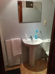 a bathroom with a sink and a toilet and a mirror at Casa De Paz in Zamora