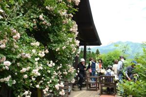 Majutusasutuse Garden Villa Minamiaso külastajad