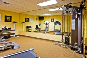 a gym with cardio equipment and a large mirror at Holiday Inn Express Hotel & Suites Memphis/Germantown, an IHG Hotel in Memphis