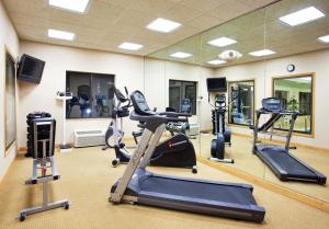 The fitness centre and/or fitness facilities at Holiday Inn Express Hotel & Suites Detroit-Utica, an IHG Hotel