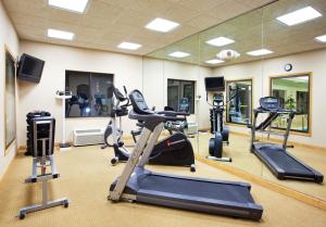 a gym with treadmills and elliptical machines at Holiday Inn Express Hotel & Suites Detroit-Utica by IHG in Utica