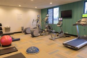 a gym with several exercise bikes and a flat screen tv at Holiday Inn Express - Grand Island by IHG in Niagara Falls