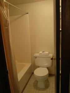 a small bathroom with a toilet and a shower at High Chaparral Inn in Rocky Ford