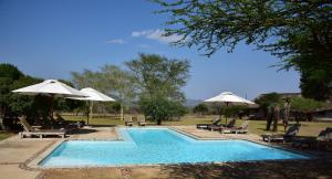 a swimming pool with lounge chairs and umbrellas at Bayala Private Safari Lodges in Hluhluwe