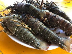 Cibo presso l'affittacamere o nelle vicinanze