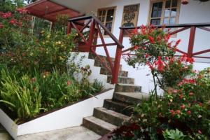Zahrada ubytování Cielito Sur Bed & Breakfast Inn