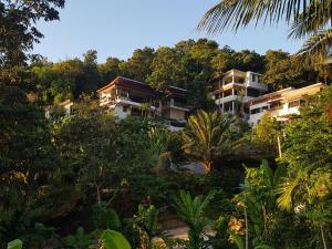 タオ島にあるBalcony Villaのジャングル内のリゾートの空中ビュー
