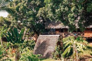 Zahrada ubytování LES CHALETS DE MELINDA