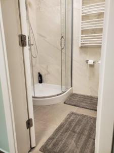 a bathroom with a shower with a glass door at Apartman Natasa sa podzemnom garažom in Banja Luka +17 photos