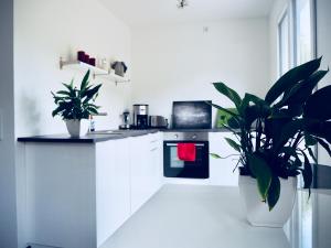 a kitchen with two potted plants and an oven at CasaSmart // Das Ferienhaus am Harz Nordhausen in Nordhausen +14 photos