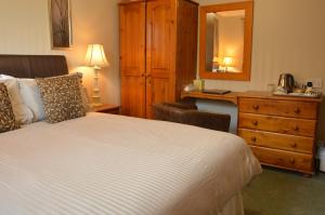 Schlafzimmer mit einem Bett, einer Kommode und einem Spiegel in der Unterkunft Bryn Hebog in Carmarthen