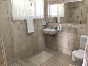 a bathroom with a sink and a toilet and a mirror at Baylight Accomodation in Mossel Bay +7 photos