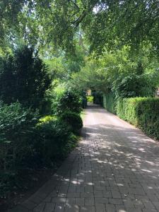 a path with a tree hanging over it at Villa Elena in Malmö