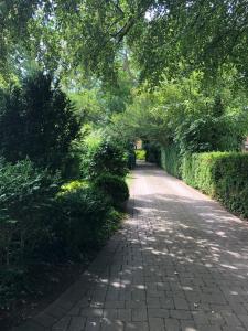 Zahrada ubytování Villa Elena