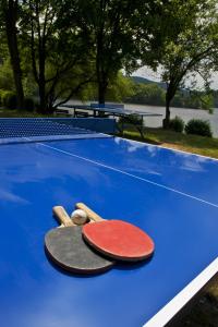 Stolný tenis v ubytovaní Resort Beach Nová Živohošť alebo v jeho okolí