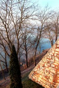 a tree next to a brick wall with trees in the background at Dom Gości Opactwa Benedyktynów in Tyniec