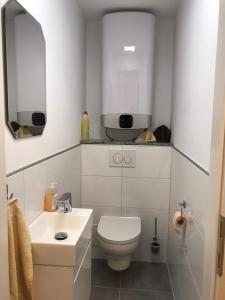 a white bathroom with a toilet and a sink at SONNSTEIN APARTMENT in Altmünster