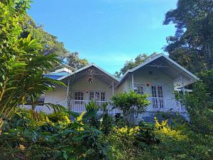 a white house surrounded by trees and bushes at Rainforest Munnar in Munnar