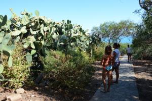 two people walking down a path next to a cactus at UNAHOTELS Club Hotel Ancora in Stintino
