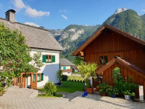 Gallery image of Haus 66 in Obertraun