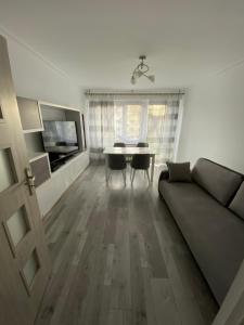 TV a/nebo společenská místnost v ubytování Apartament Zacisze