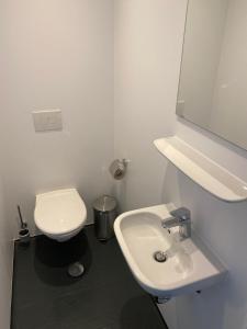 La salle de bains blanche est pourvue de toilettes et d'un lavabo. dans l'établissement Ferienwohnung Preisinger, à Oberammergau