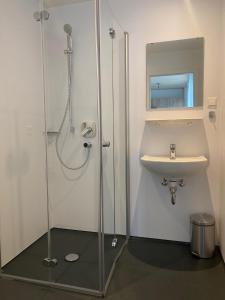 La salle de bains est pourvue d'une douche et d'un lavabo. dans l'établissement Ferienwohnung Preisinger, à Oberammergau
