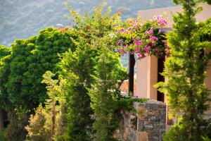 a group of trees with flowers on top of a building at Daios Cove in Agios Nikolaos