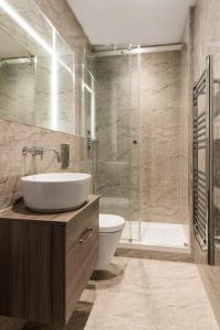 聖奧爾本斯的住宿－Abbott House by Viridian Apartments，一间带水槽、卫生间和淋浴的浴室