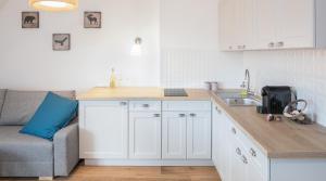 Kuchyň nebo kuchyňský kout v ubytování TWOJA CHATA Apartamenty pod niebem zarezerwuj na podhalami pl