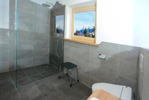 een badkamer met een douche, een toilet en een raam bij Birklstüberl Restaurant und Appartement in Seefeld in Tirol