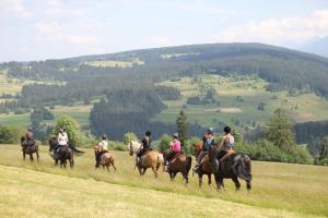 a group of people riding horses in a field at Domek pod zielonym lasem in Zakopane