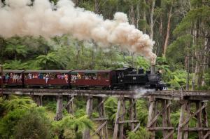 Gallery image of Ferny Hill Retreat, Emerald Victoria in Emerald