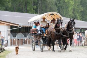 un carruaje de caballos con un grupo de personas en Reitstall und Saloon San Jon, en Scuol