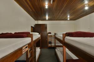 um quarto com quatro beliches num quarto em Hostel Chocolatchê em Gramado