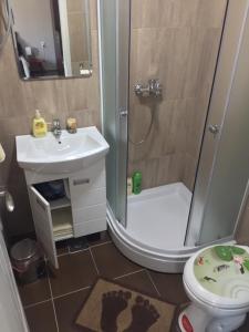 a bathroom with a shower and a sink and a toilet at Alex Lodge in Zrenjanin