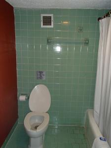 uma casa de banho com azulejos verdes, um WC e uma banheira em Sunrise Inn Lake Charles em Lake Charles