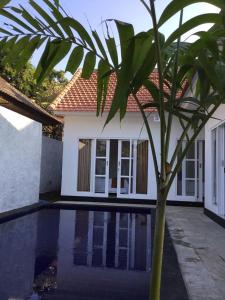 a palm tree in front of a house at Queen Guest house tulamben in Tulamben