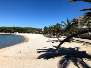 Pantai di atau dekat dengan apartmen