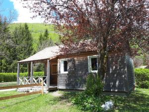 a small shack with a tree in the yard at Le Valserine - Camping éco responsable in Chézery-Forens