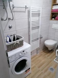 lavatrice in bagno con servizi igienici di Apartman Tamara a Pale