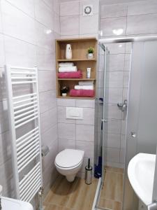 un bagno con doccia, WC e lavandino di Apartman Tamara a Pale