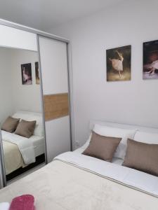 una camera da letto con due letti e uno specchio di Apartman Tamara a Pale