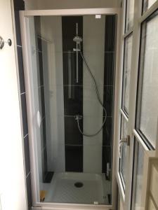オセールにあるAppartementのバスルーム(ガラスドア付きのシャワー付)