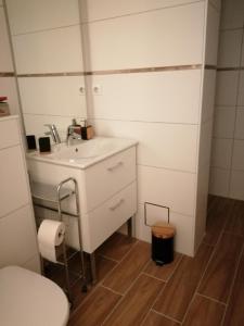 ein kleines Bad mit einem Waschbecken und einem WC in der Unterkunft Le Bord d'eau in Montbard