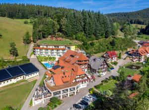 an aerial view of a hotel with a resort at Naturparkhotel Adler in Wolfach
