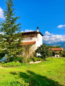 una casa en la cima de un campo verde con un árbol en Villa Vasiliki, en Palioúras